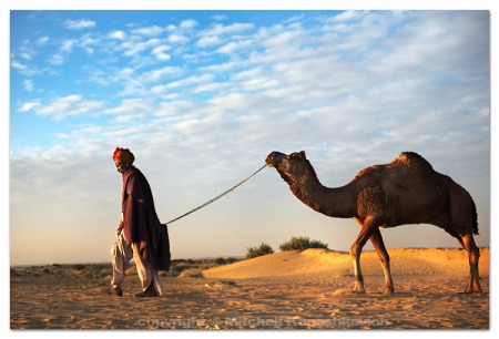 cameleer-and-his-camel