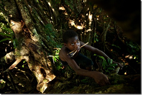 tennage boy climbing-tree-Rah Lava-Banks-Vanuatu